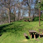 Klupe u nacionalnom parku Fruška Gora